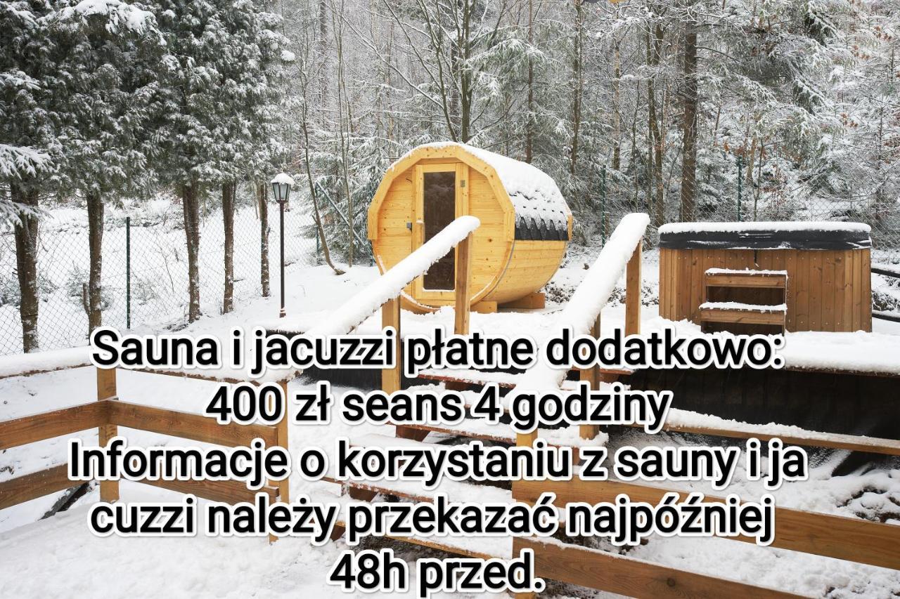 Apartament Widokowy Z Jacuzzi I Sauna Na Wylacznosc - Sikorowka - Dobre Miejsce Wisła Exteriör bild