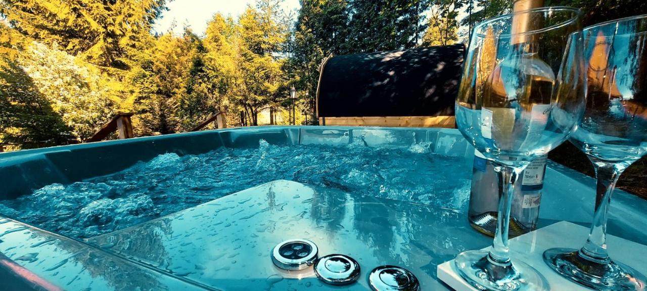 Apartament Widokowy Z Jacuzzi I Sauna Na Wylacznosc - Sikorowka - Dobre Miejsce Wisła Exteriör bild